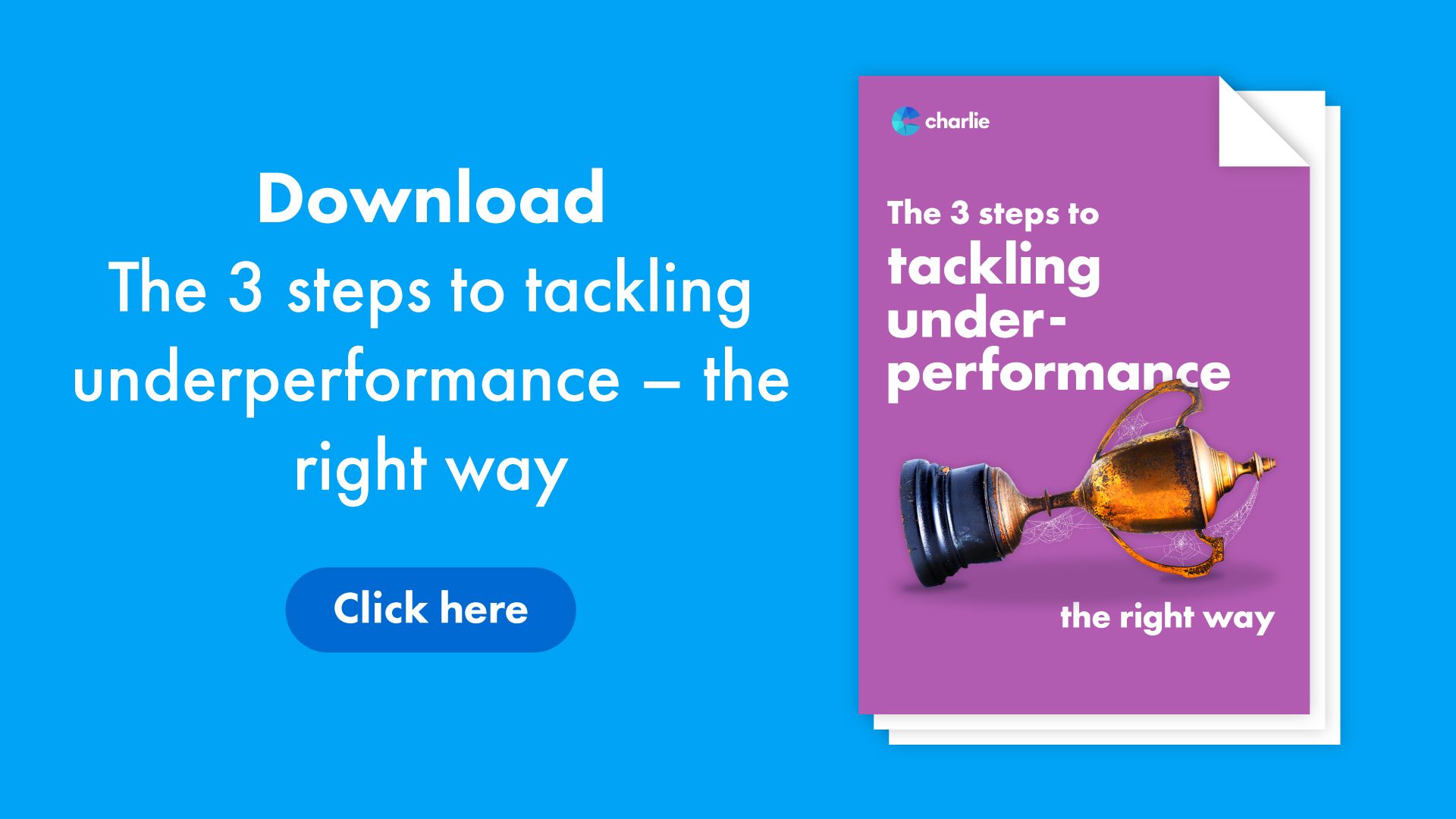 Click here to download the guide to thre three steps to tackle underperformance