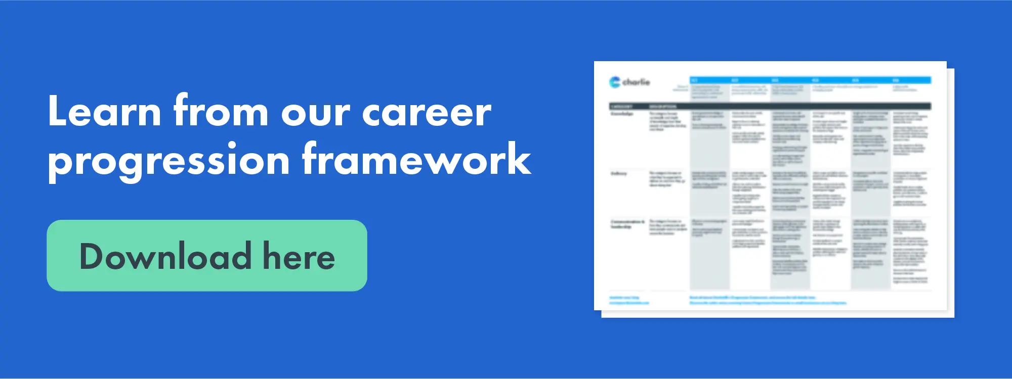 Learn from our career progression framework click here