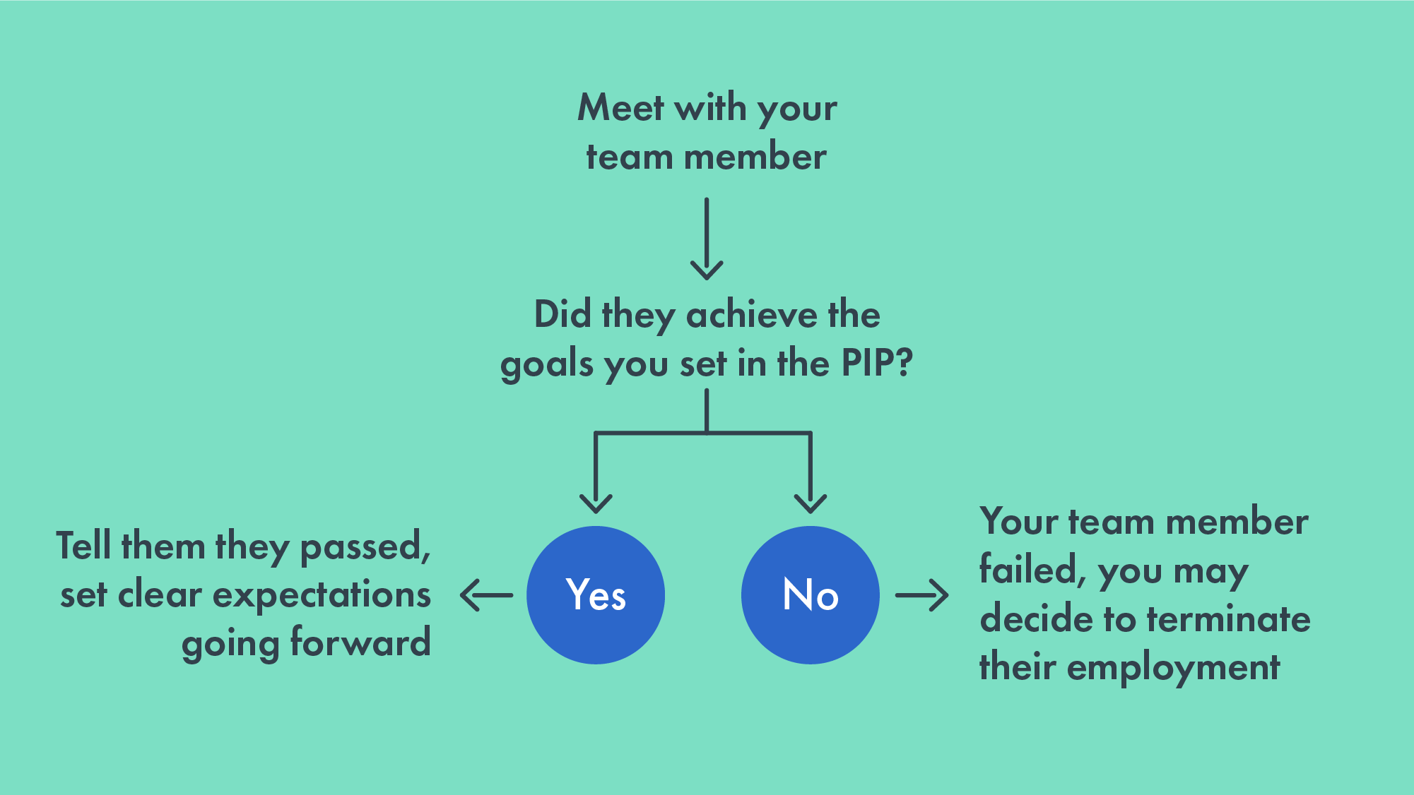 Flow chart illustrating the PIP process
