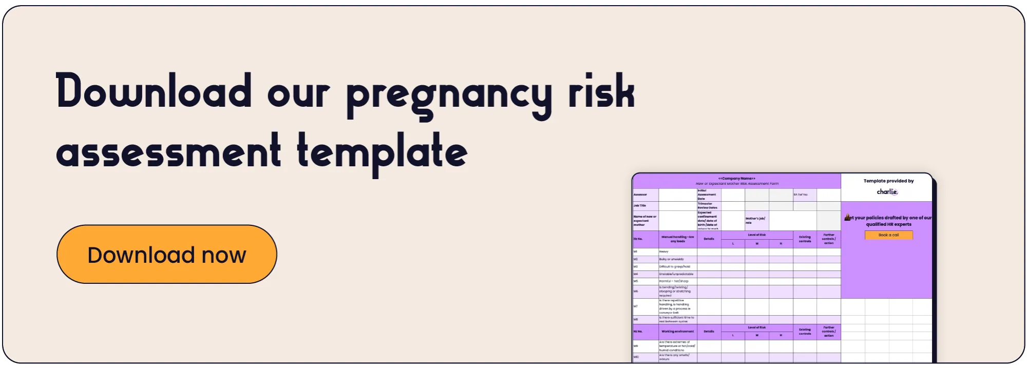Download our pregnancy risk assessment template.webp